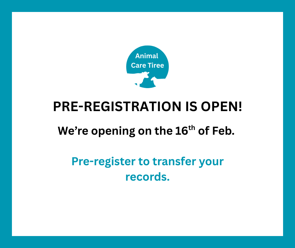 Getting Your Records to Animal Care Tiree