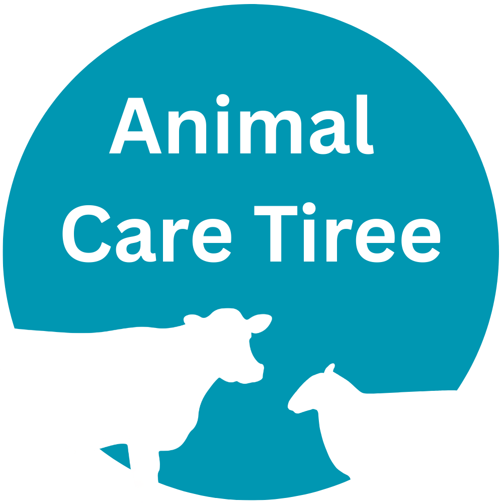 Animal Care Tiree